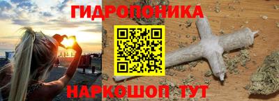 крисы Коммунар
