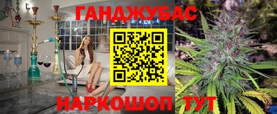 apvp Кингисепп