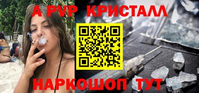 apvp Кингисепп