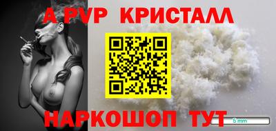 apvp Кингисепп