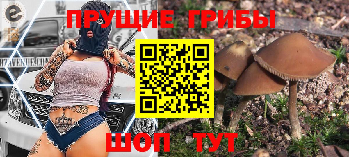 наркошоп  Вход с VPN  Кохма  Галлюциногенные грибы Cubensis 
